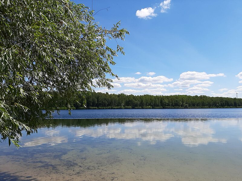 Blick über den Zschornewitzer See. Im Anschnitt sieht man einen Baum mit seinen grünen Blättern.