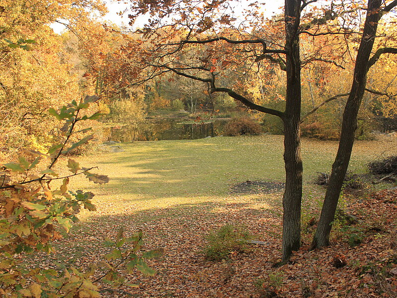 Blick über Rasenfläche und einem der Steinbruchseen im Herbst.