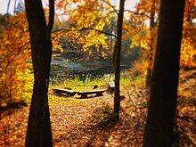 Herbststimmung am Friedrichsee