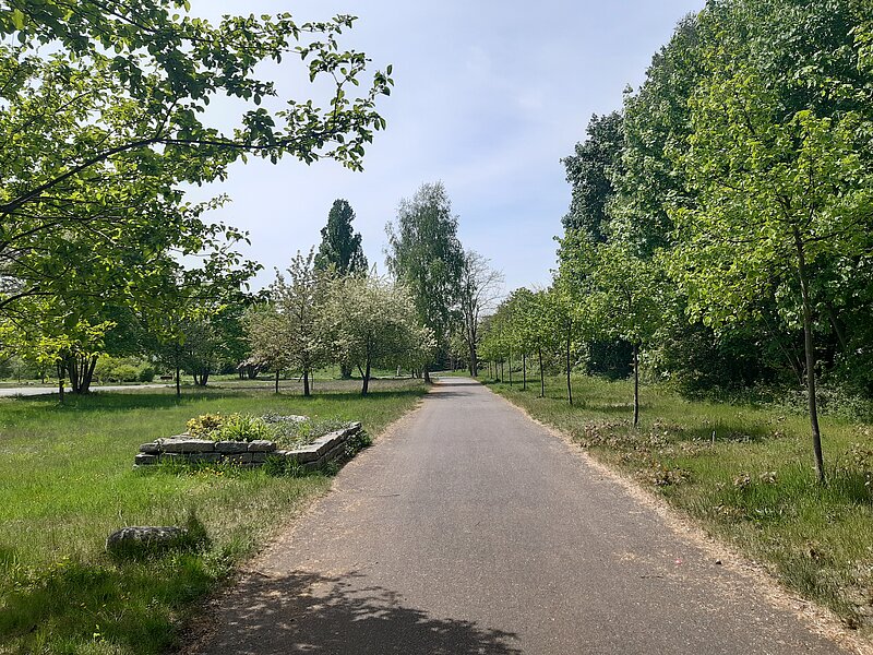 Im Gemeindepark befinden sich Straßen. Bäume spenden den Besuchern Schatten.