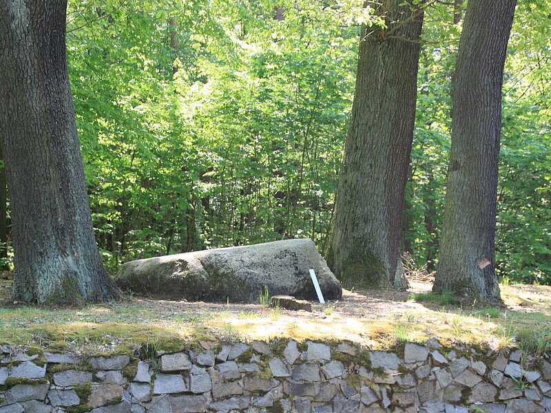 Der Lutherstein ist ein großer Findling umgeben von Bäumen.