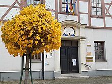 Gelb gefärbter Laubbaum vor dem Haupteingang des Rathauses